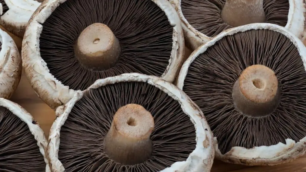 Can I use portobello instead of shiitake