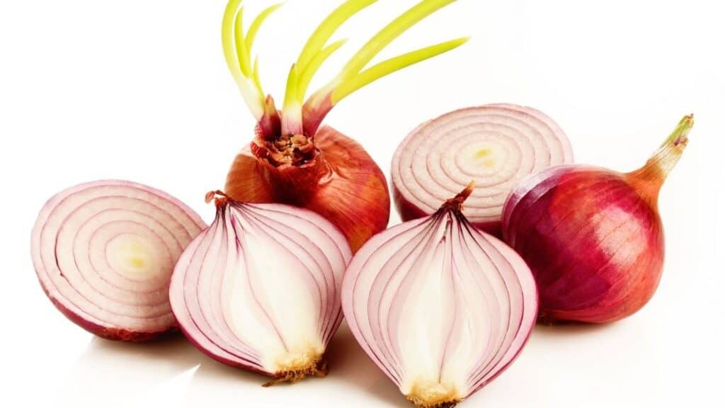 Can Onions Irritate Acid Reflux