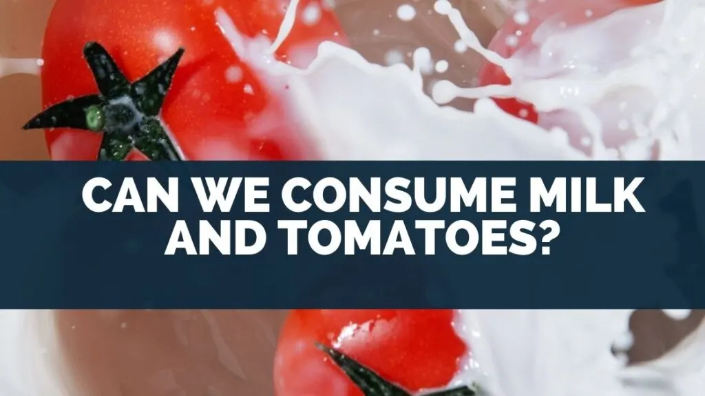 Can We Consume Milk and Tomatoes