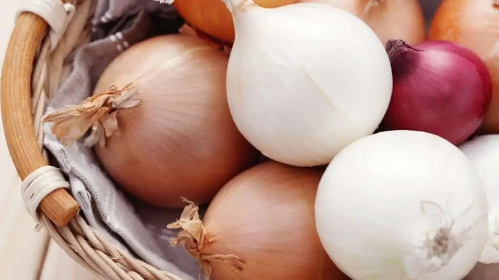 Can You Extract Sulfur from Onions