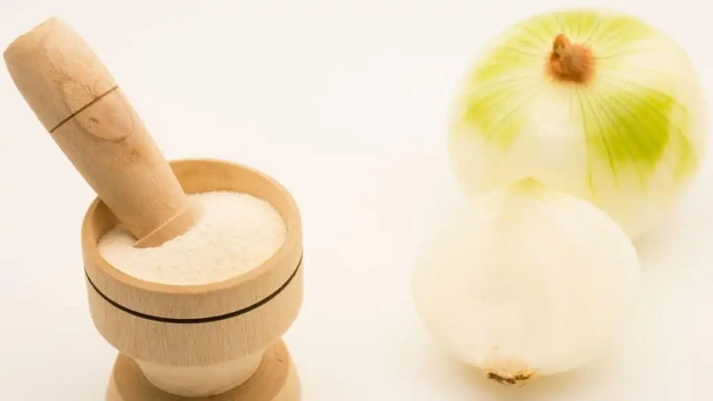 Can You Use Onion Powder Instead of Minced Onion