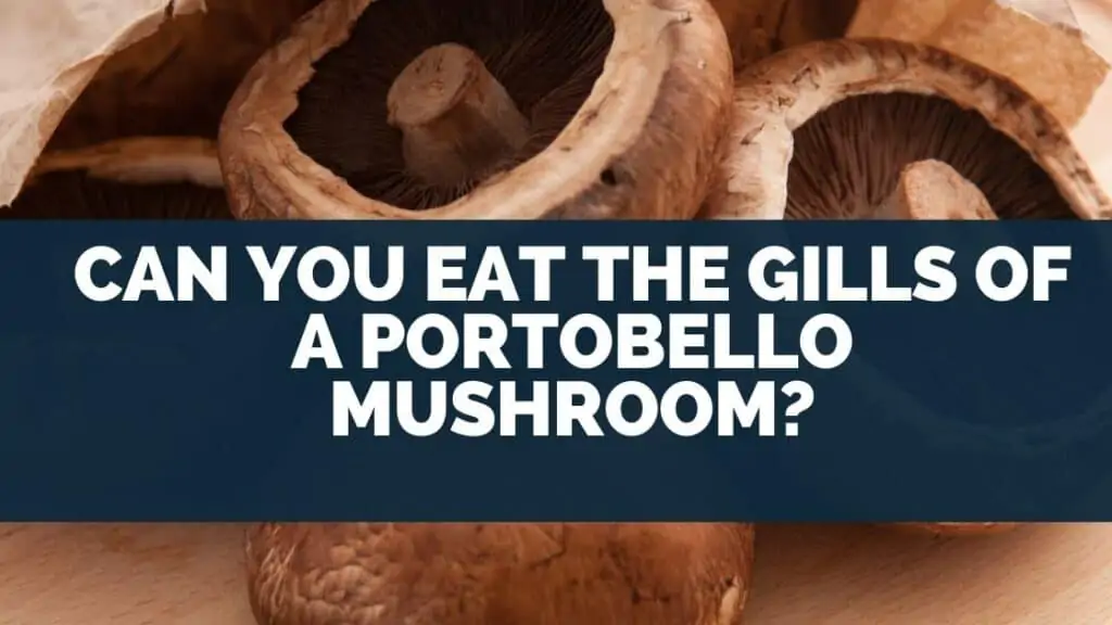 Can you eat the gills of a portobello mushroom