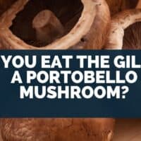 Can you eat the gills of a portobello mushroom