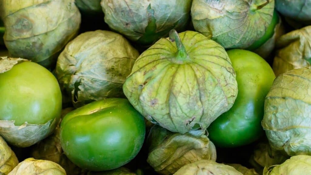 Do Tomatillos Taste like Green Tomatoes