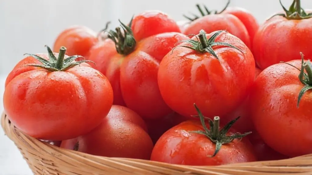Do Tomatoes Raise Blood Sugar