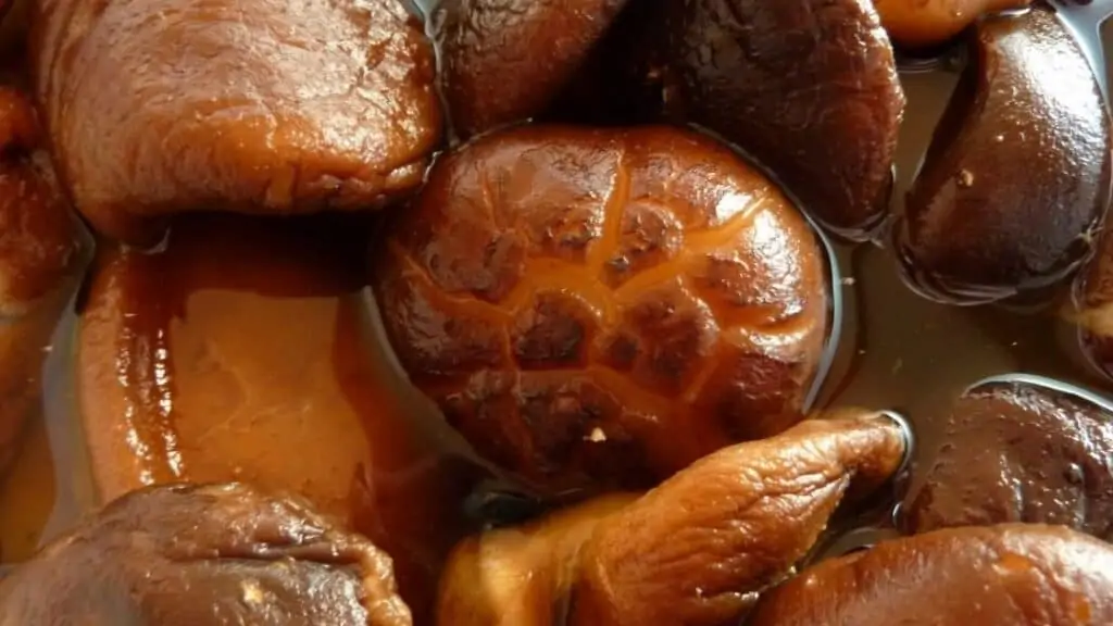 Do you need to soak fresh shiitake mushrooms