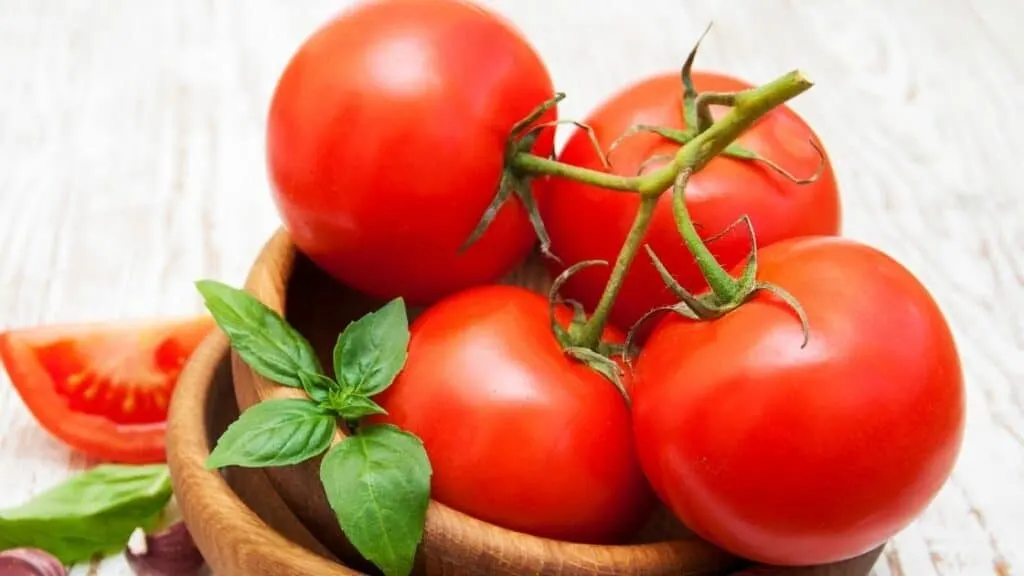 Does Tomato Have Protein