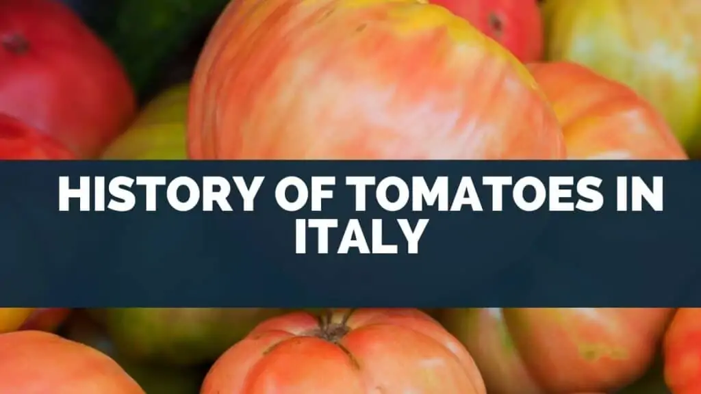 History of Tomatoes in Italy