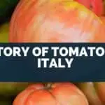 History of Tomatoes in Italy