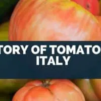 History of Tomatoes in Italy