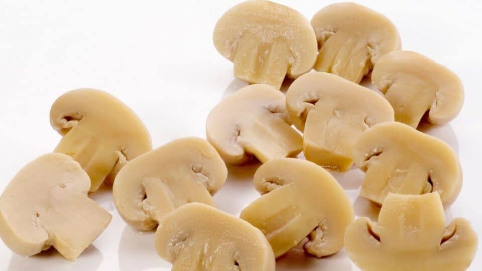 How Long Do Cooked Mushrooms Last? [Fridge V Freezer]