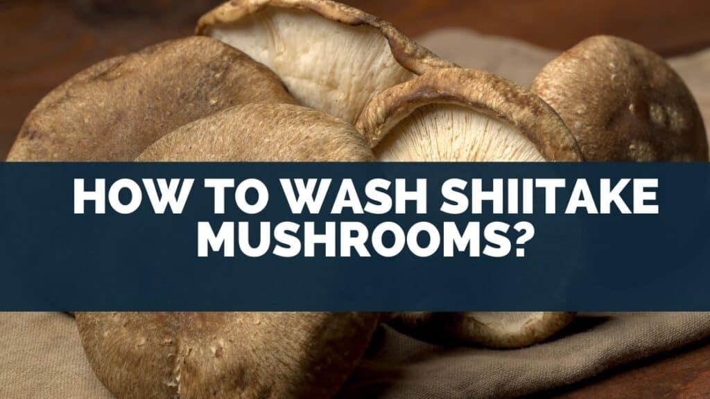 How to wash shiitake mushrooms