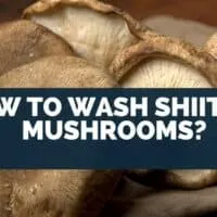 How to wash shiitake mushrooms