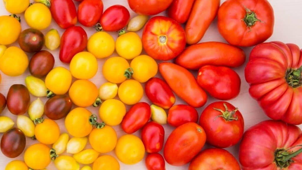 Is Acid in Tomatoes Bad for You