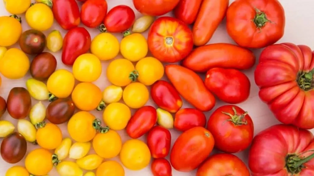 Is Acid in Tomatoes Bad for You