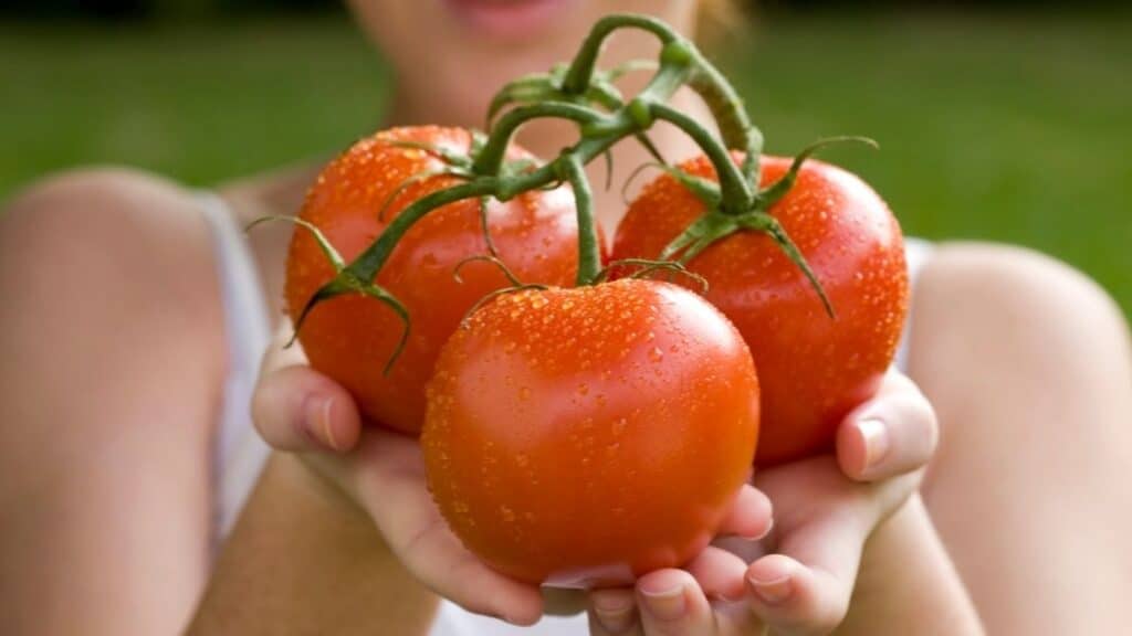 Is Tomato a Carbohydrate