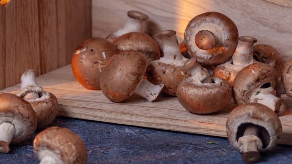 Is it OK to eat mushrooms that have turned brown
