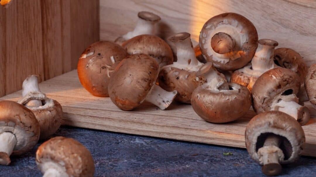 What Happens If You Eat Old Rotten Mushrooms?
