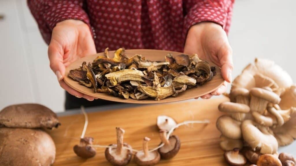 Is it bad to eat dried mushrooms