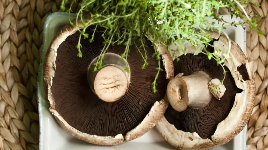 Negative effects of portobello mushrooms