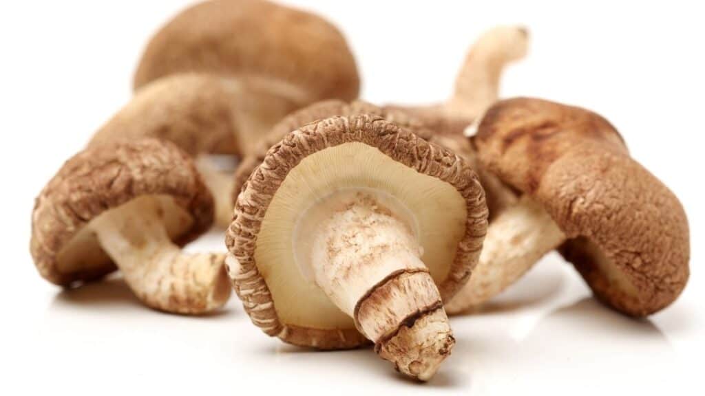 Shiitake mushroom benefits