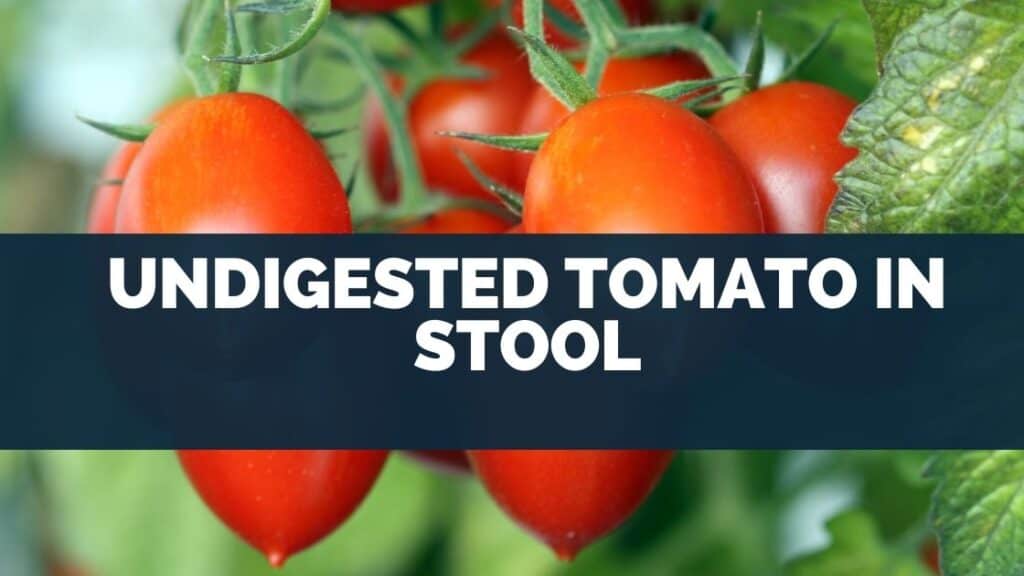 Undigested Tomato In Stool [Good Gut Health]