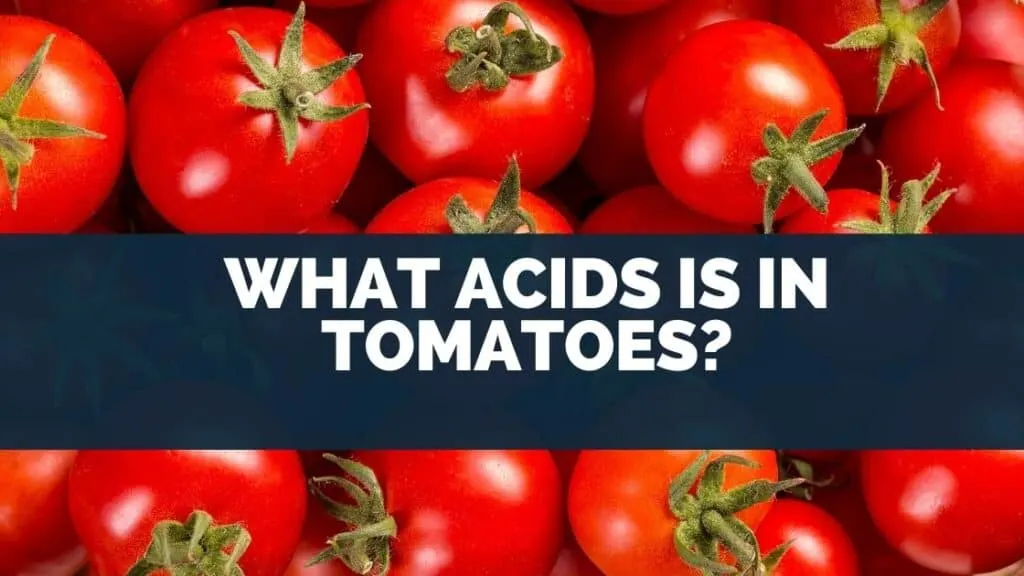 What Acids Is in Tomatoes