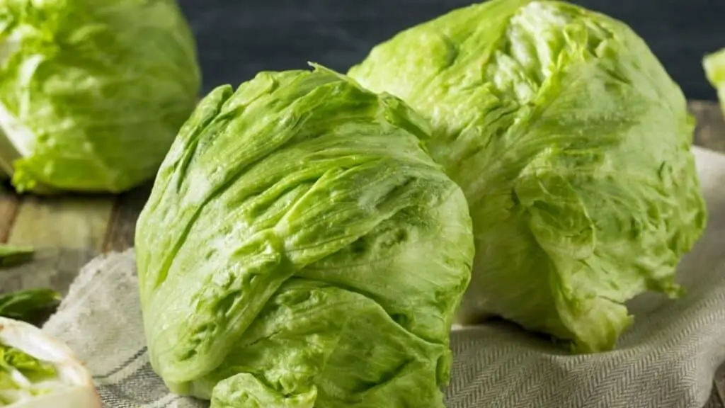 What Did Italy Eat before Tomatoes