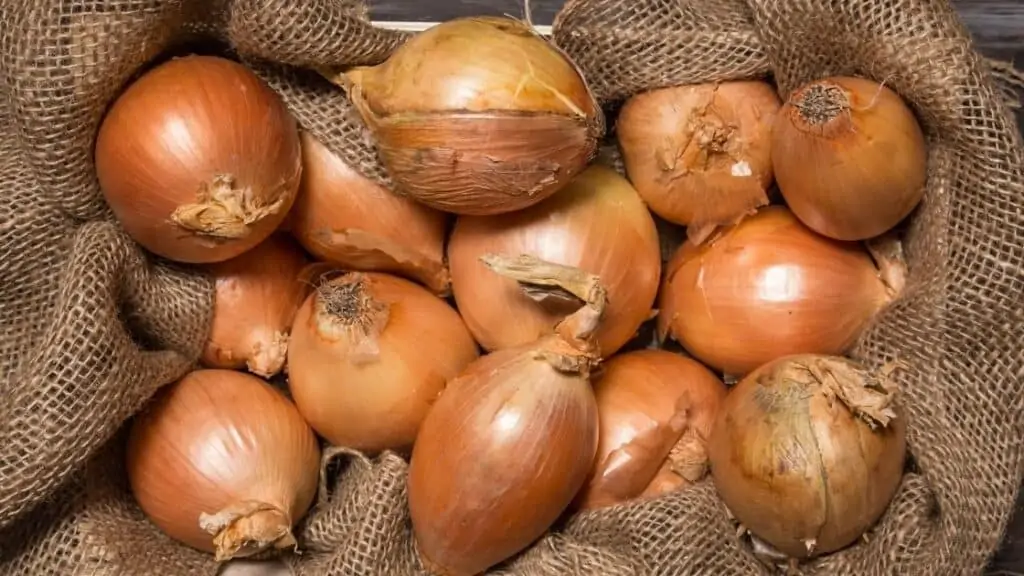 What Type of Sulfur Is in Onions