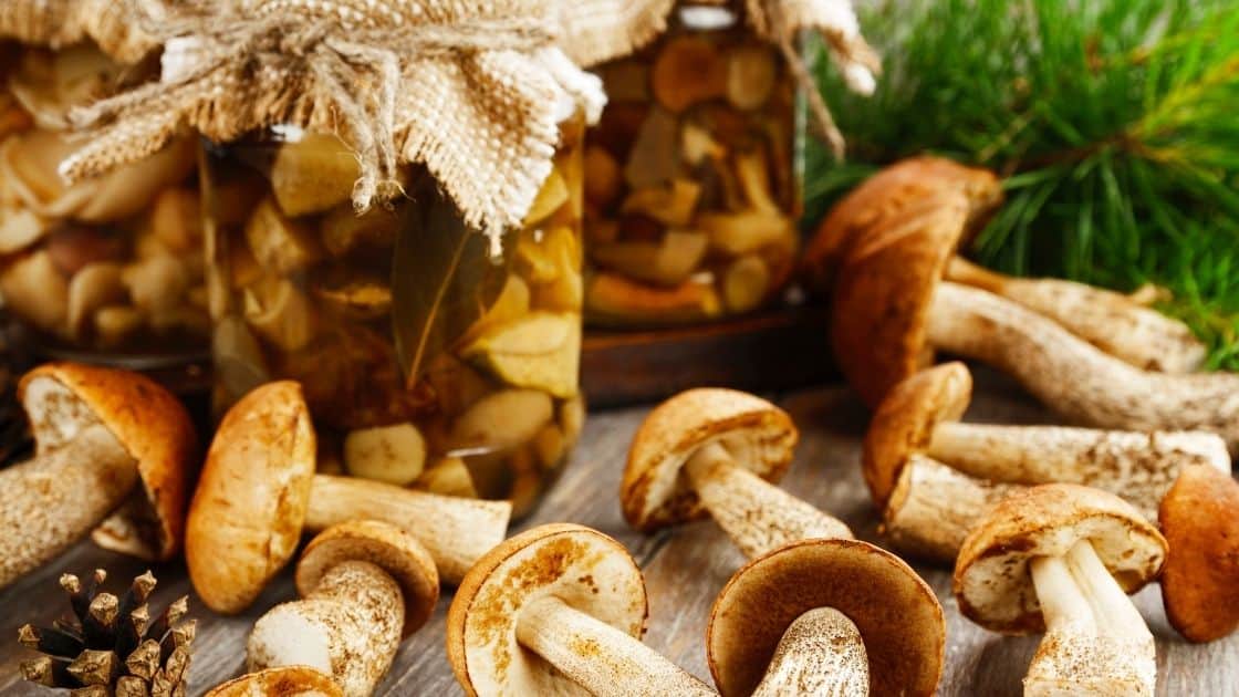 How Long Do Cooked Mushrooms Last? [Fridge V Freezer]