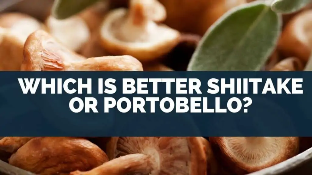 Which is better shiitake or portobello