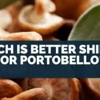 Which is better shiitake or portobello