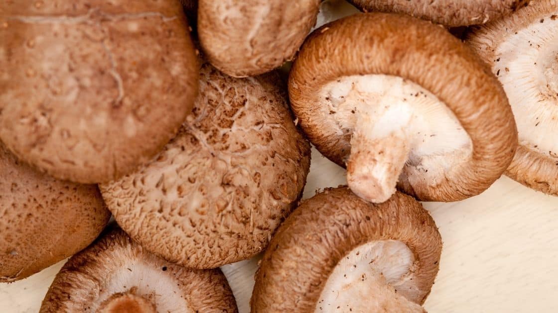Which Is Better Shiitake Or Portobello? [Cooking V Nutritional Benefits]