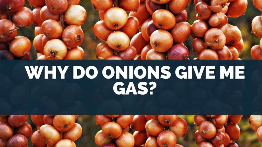 Why Do Onions Give Me Gas