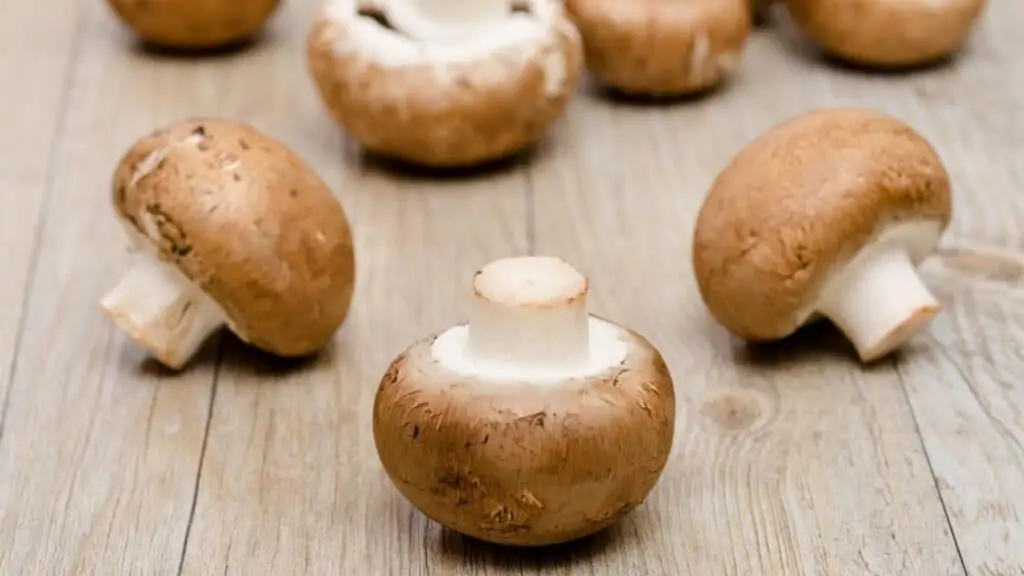 Why do mushrooms turn brown