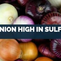 is onion high in sulfur