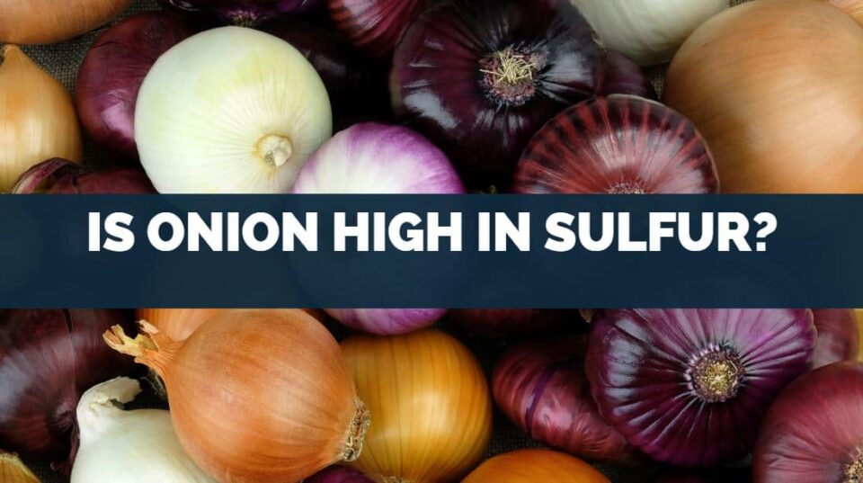 Is Onion High In Sulfur?