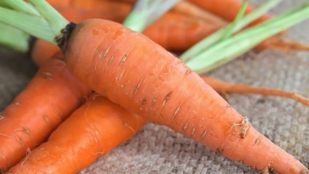 Are Carrots Good Carbs or Bad Carbs