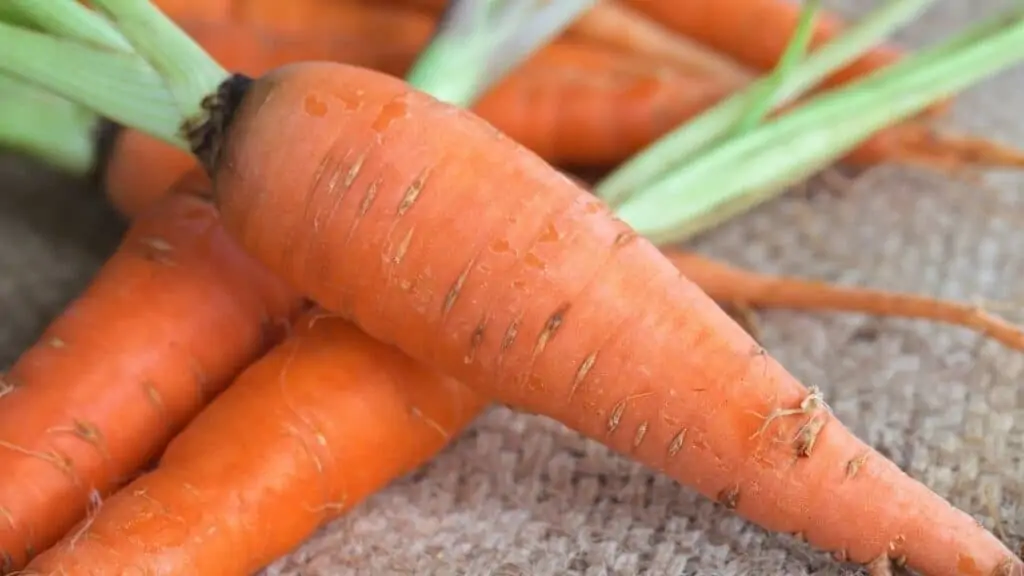 Are Carrots Good Carbs or Bad Carbs