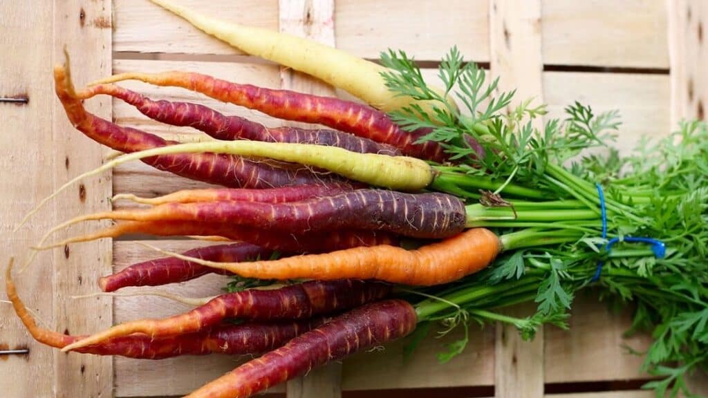 Are Carrots Good for Weight Loss