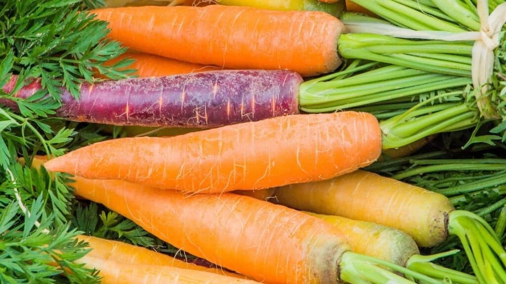Are Carrots High in Acid