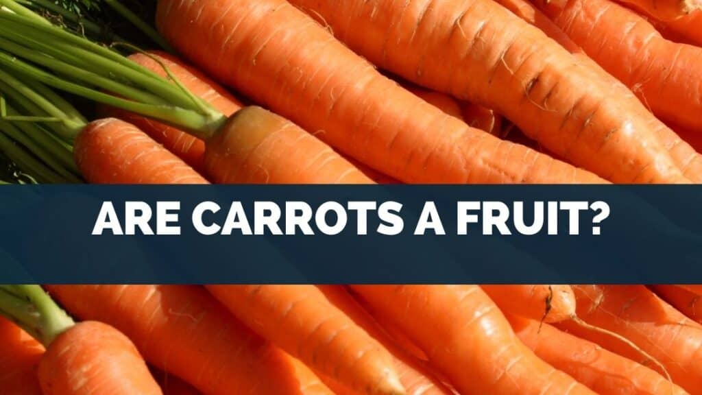 Are Carrots a Fruit