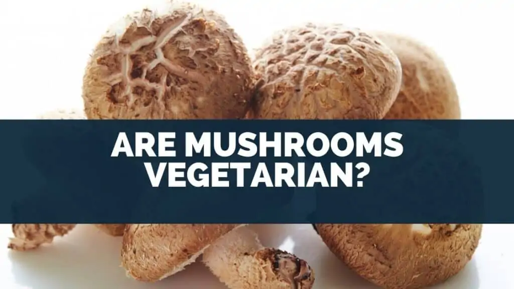 Are Mushrooms Vegetarian