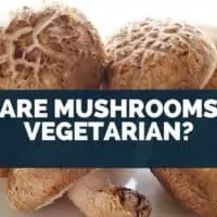 Are Mushrooms Vegetarian