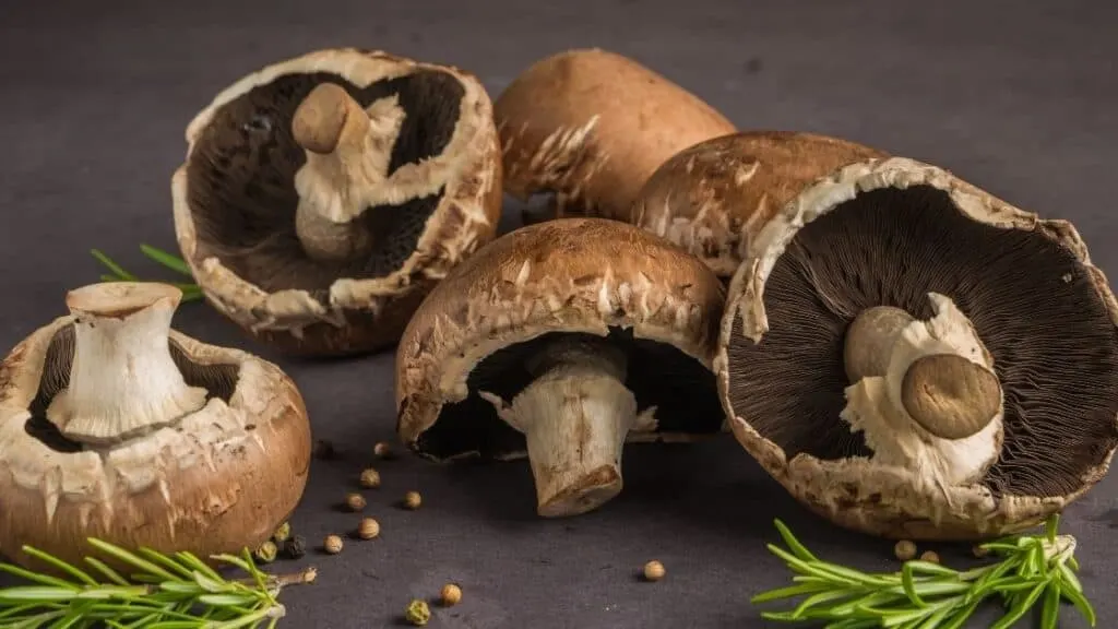 Are mushrooms Paleo and Keto