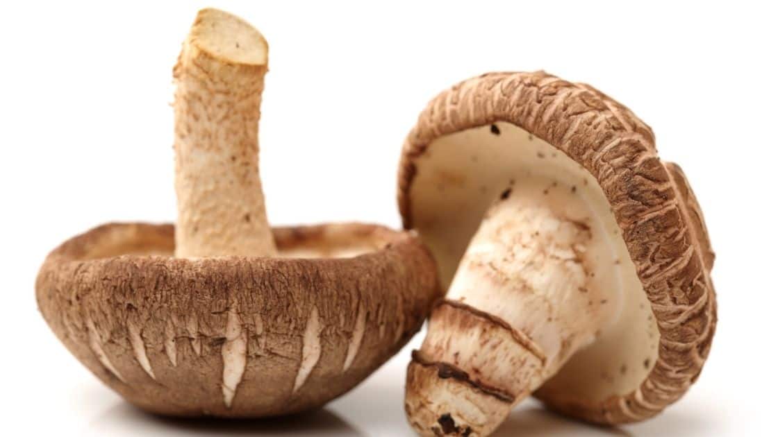 Is Mushroom Good For Acid Reflux? [Best Variety For Gastritis & Acidity