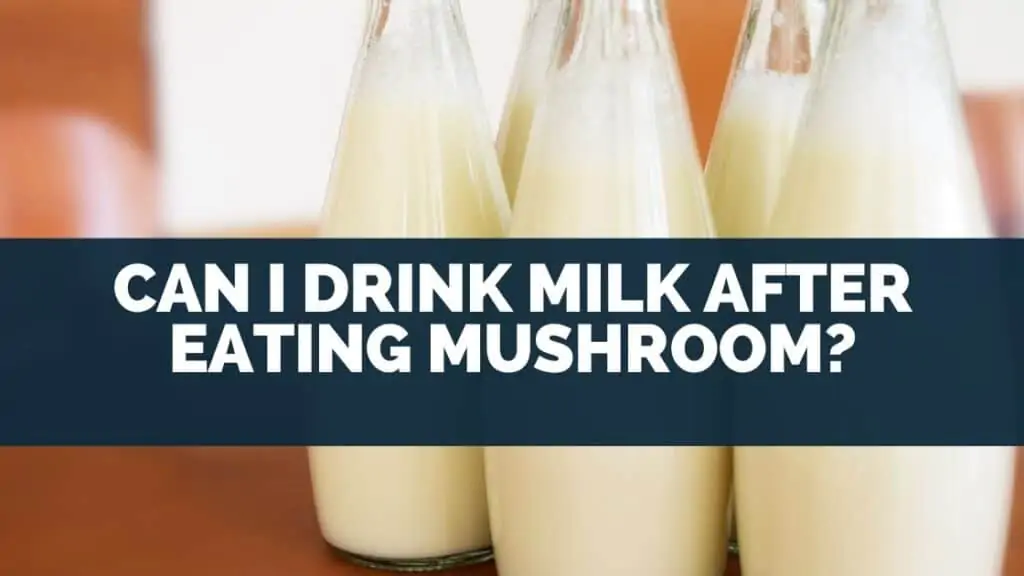 Can I Drink Milk After Eating Mushroom?
