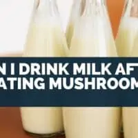 Can I Drink Milk After Eating Mushroom?