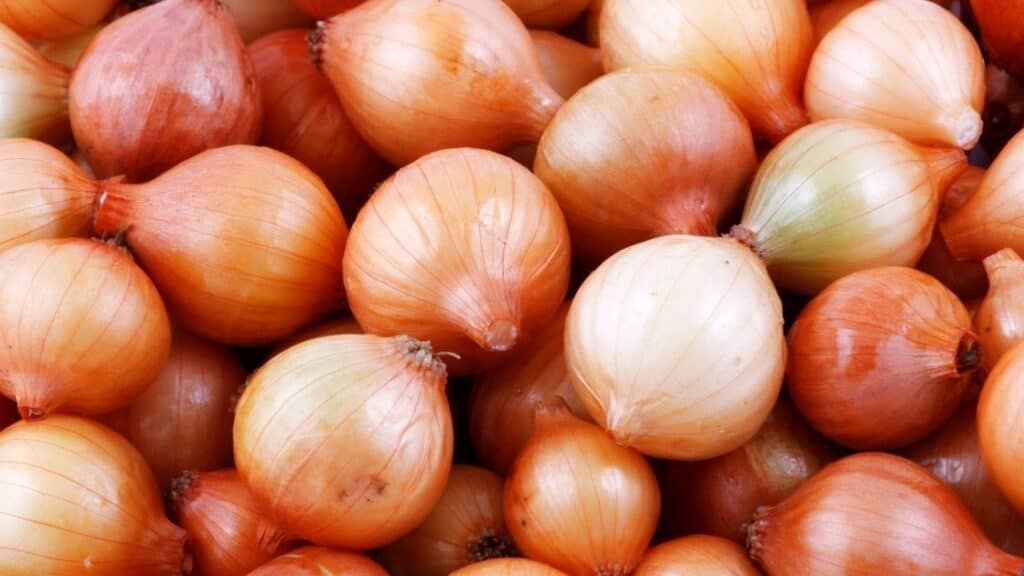 Can You Boil Onions