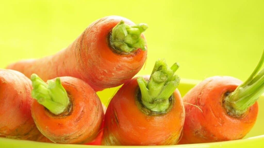 Can You Get Carrot Poisoning?